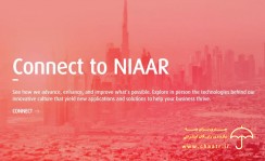صادرات و واردات و بازرگانی در دبی، بازرگانی نیار