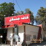 کافه جنگل کرمان