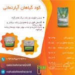 فروش کود گیاهان آپارتمانی