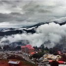 هتل رستوران فردین معصومی