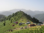 masal1