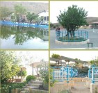 باشگاه سوارکاری دوقلوها
