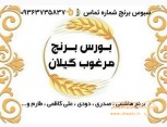 فروش برنج به قیمت عمده