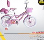 ماشین شارژی