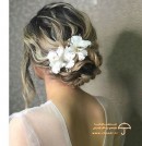 سالن زیبایی مانگو سنندج