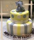 kids-cake-design-shiraz