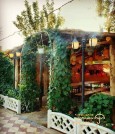 shiraz-berke-cafe-garden