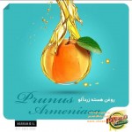 خرید روغن گیاهی در شیراز