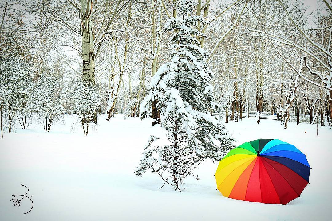 رنگین کمان چتر در برف