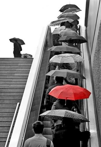 جلوه چتر قرمز بین چترهای دیگر