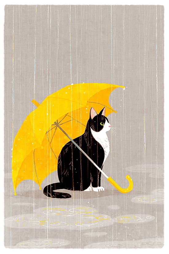 گربه با چتر زرد